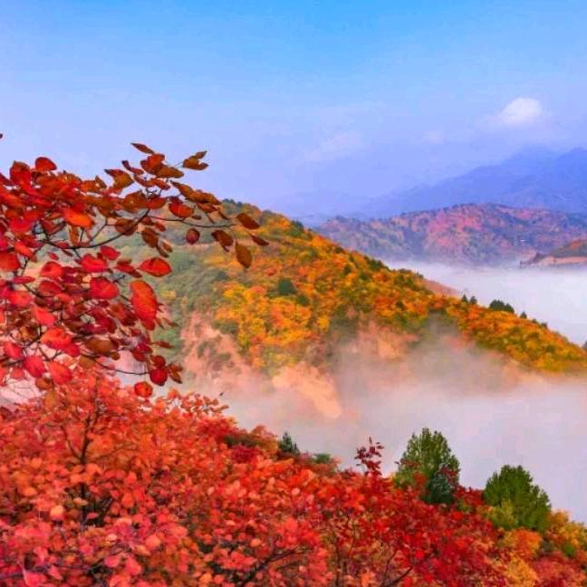 汉城古月@胡德良