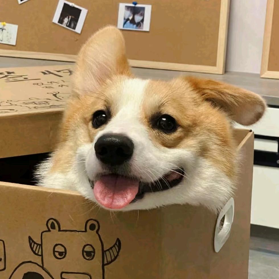 六六diy潮玩