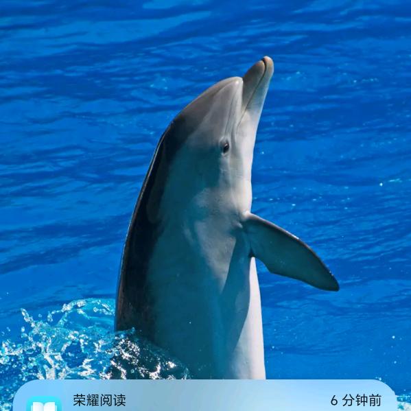 橘子。。。。。