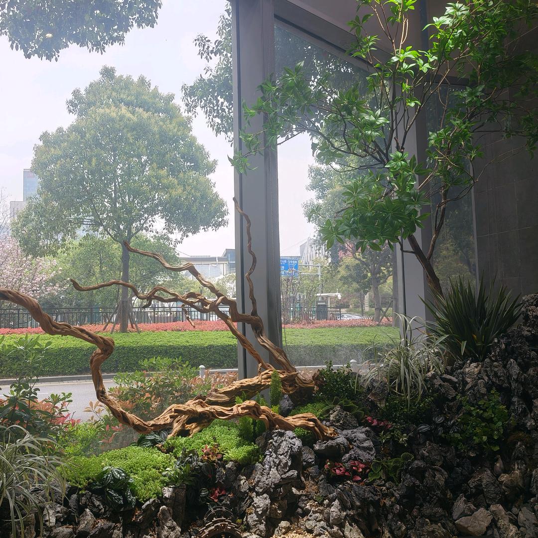 疗愈花园设计（不做免费设计）