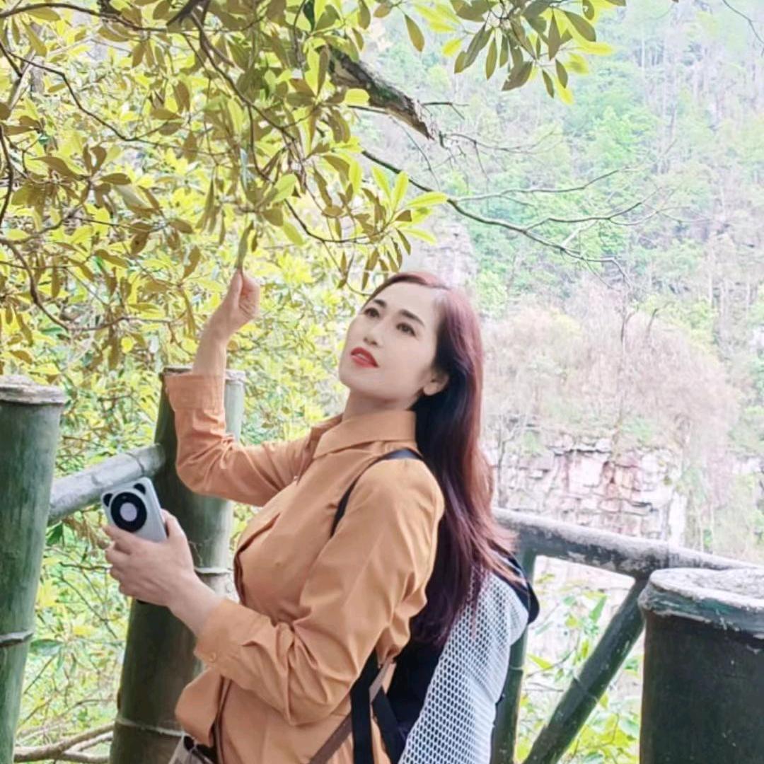无花果不语🥑