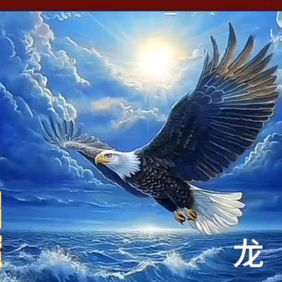 尙缮婼閖