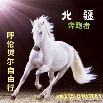 若有战召必回呼伦贝尔旅游推介兼包车服务