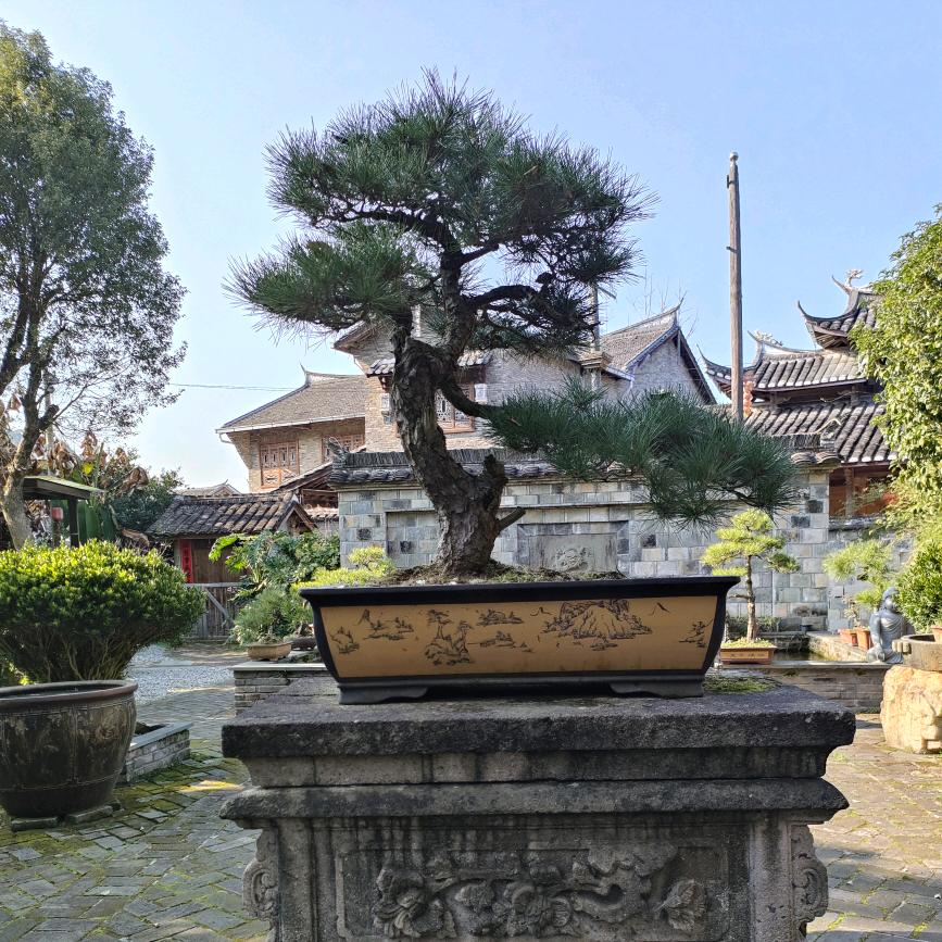 有氧精选
