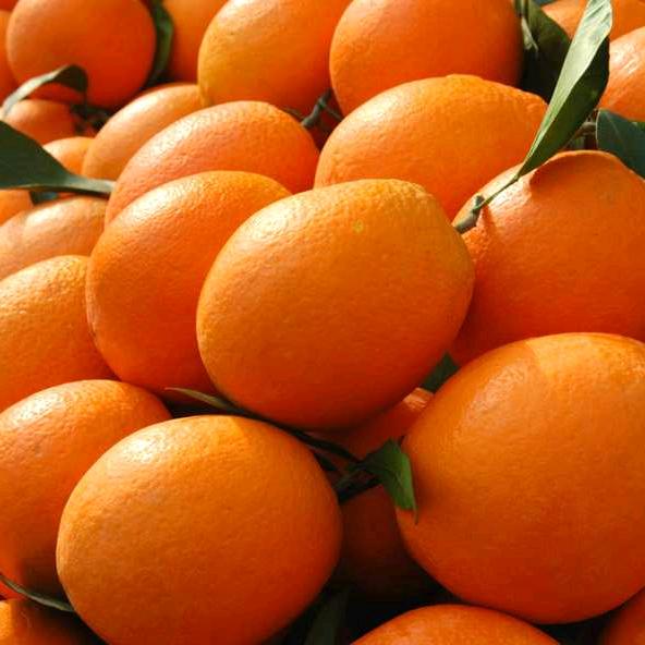 扶持助农产品直供