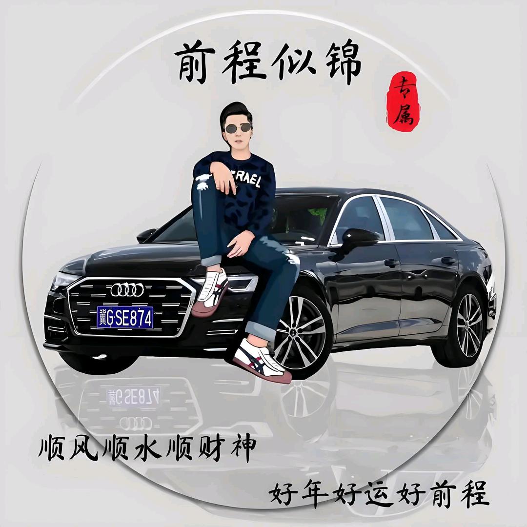 陵城骏达二手车行