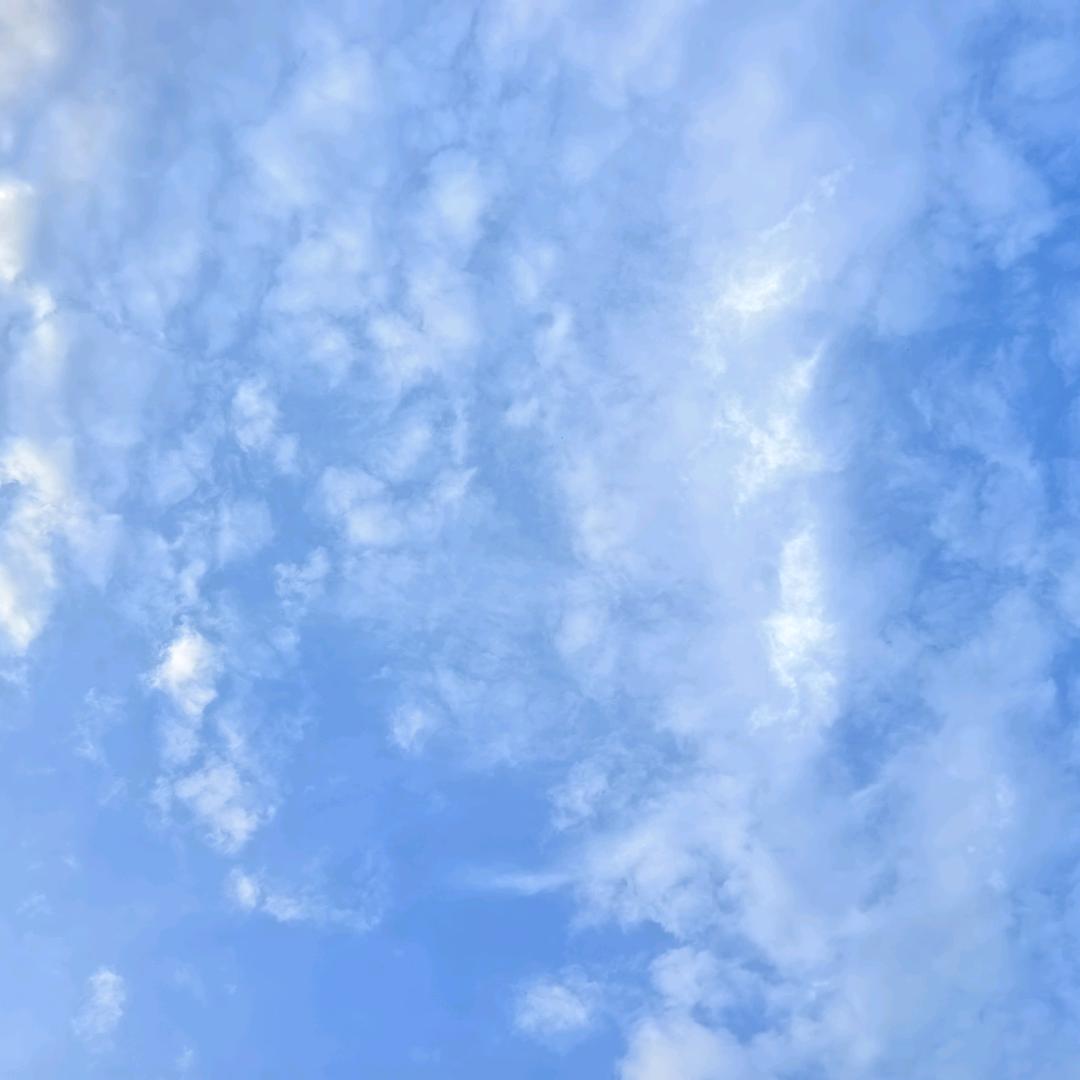 最熟悉的陌生人