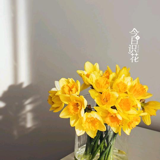 语示无争