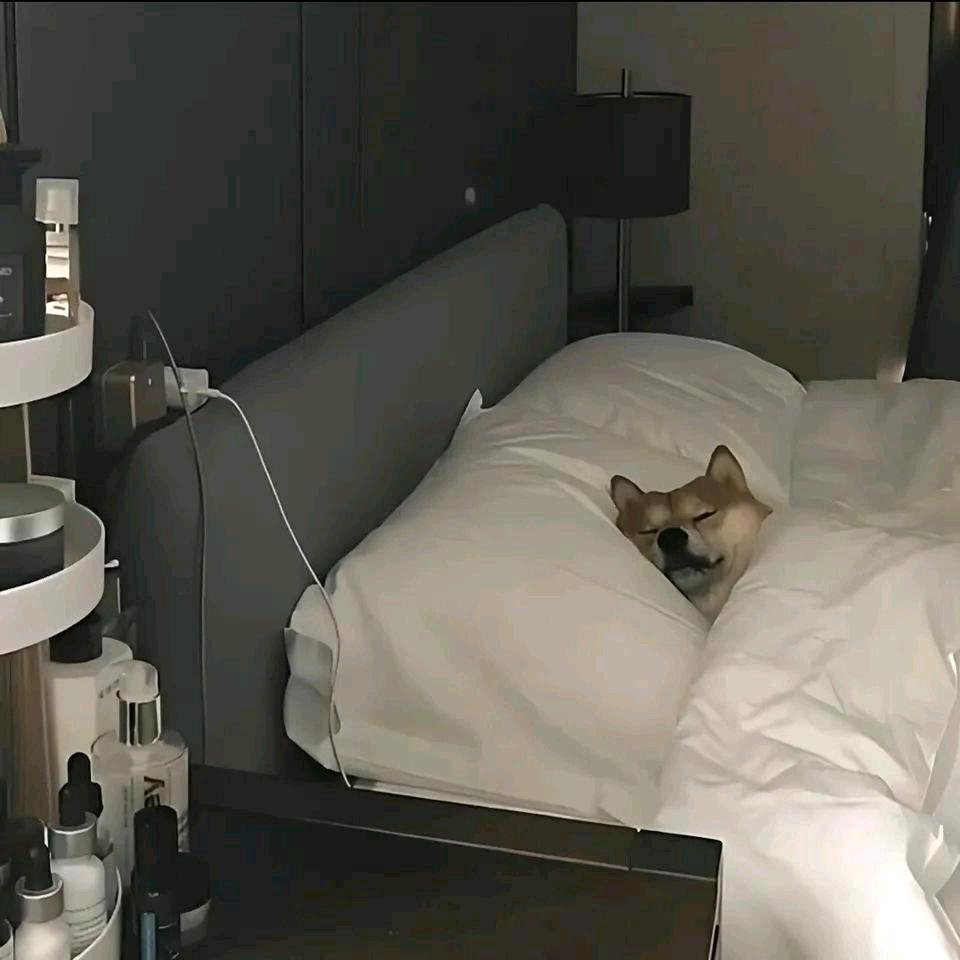 失眠专家