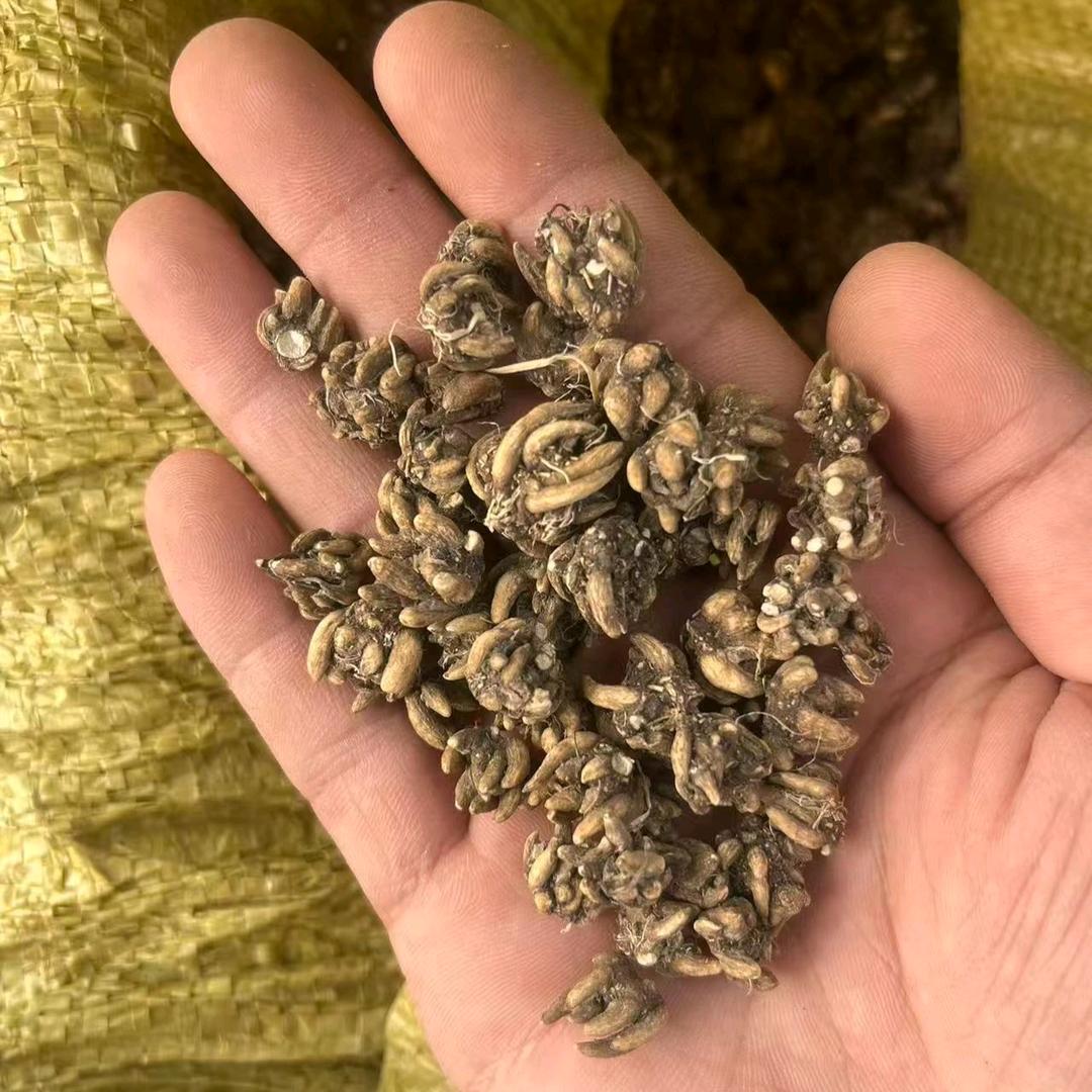 豫南申城严选店