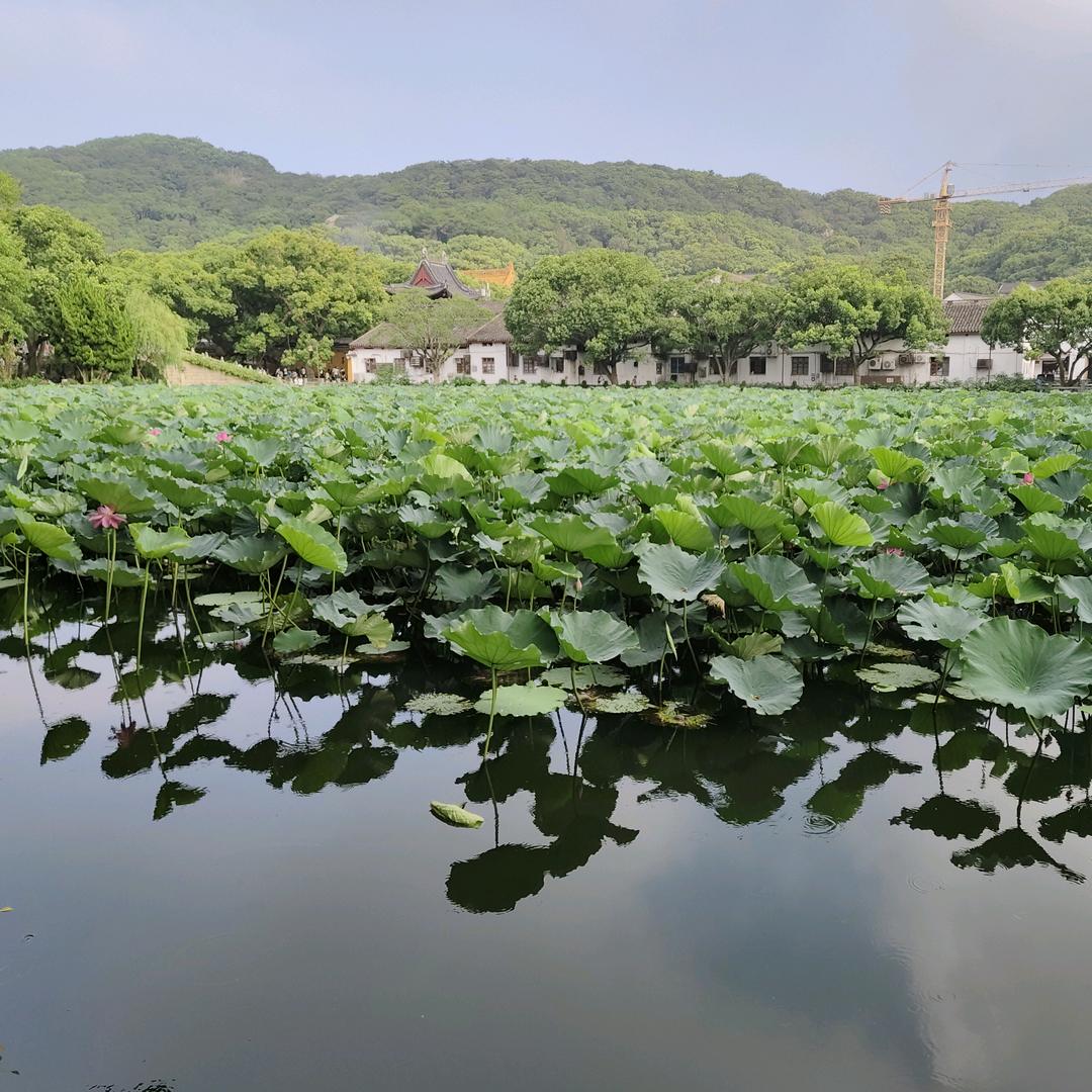阳阳日常记