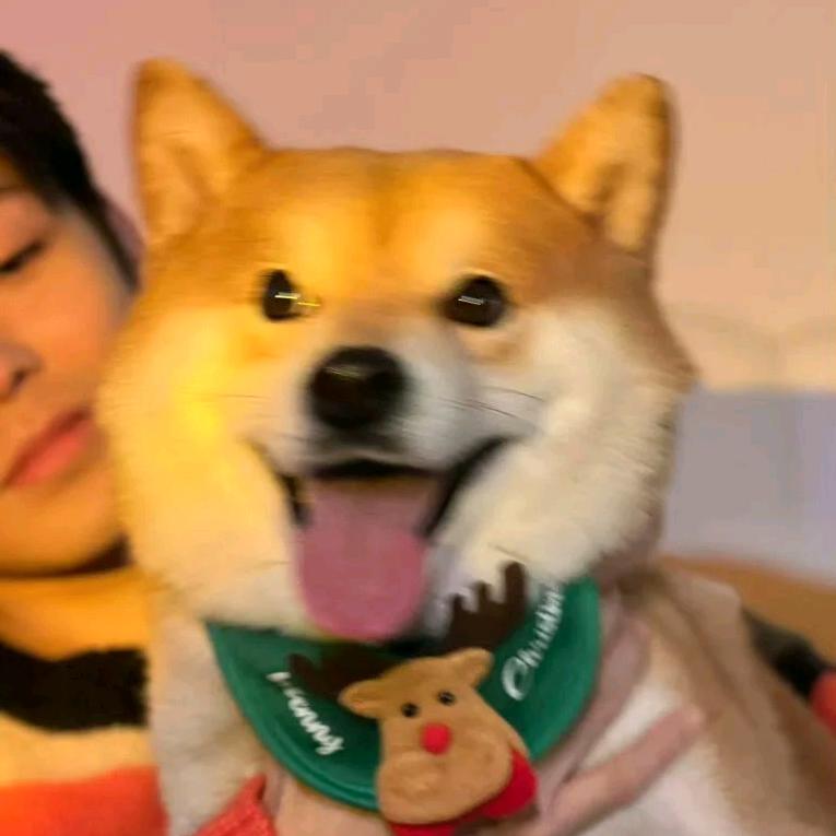 司怀瑾