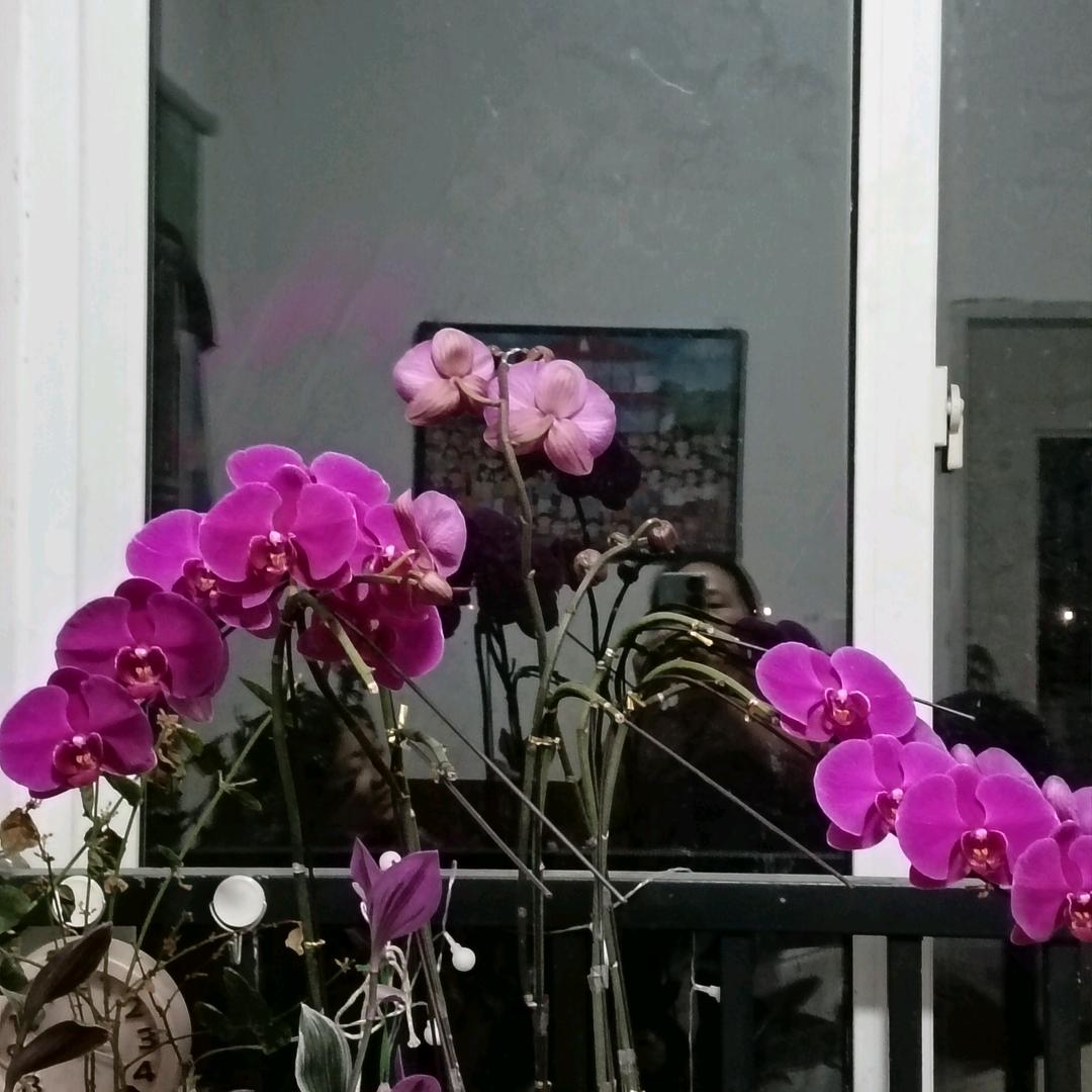 用户9108931569379
