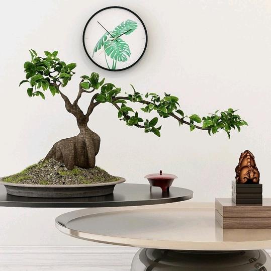 冯妹