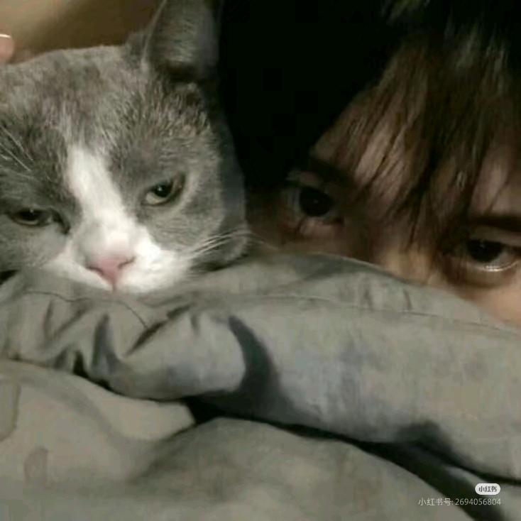游泳