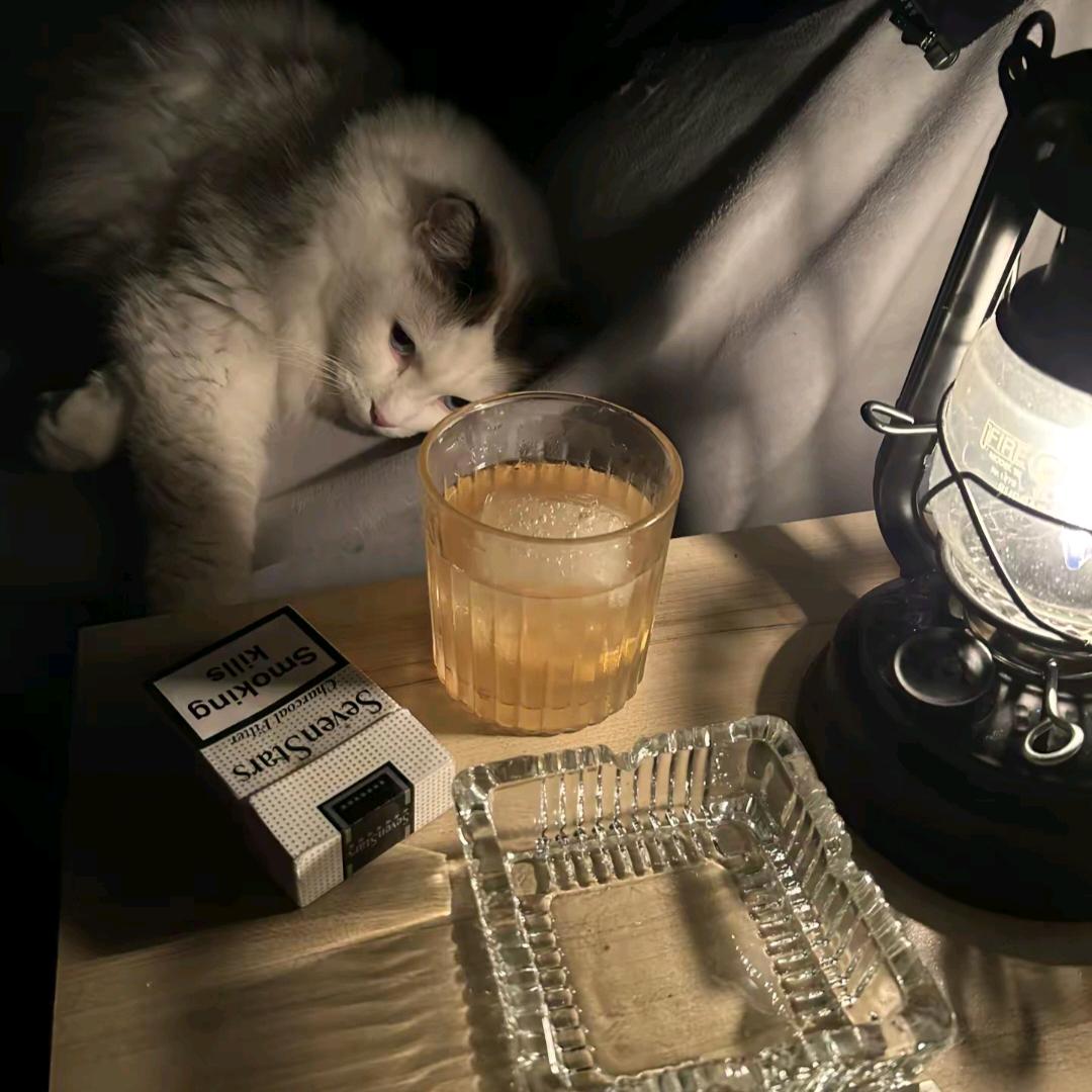 规则雨.