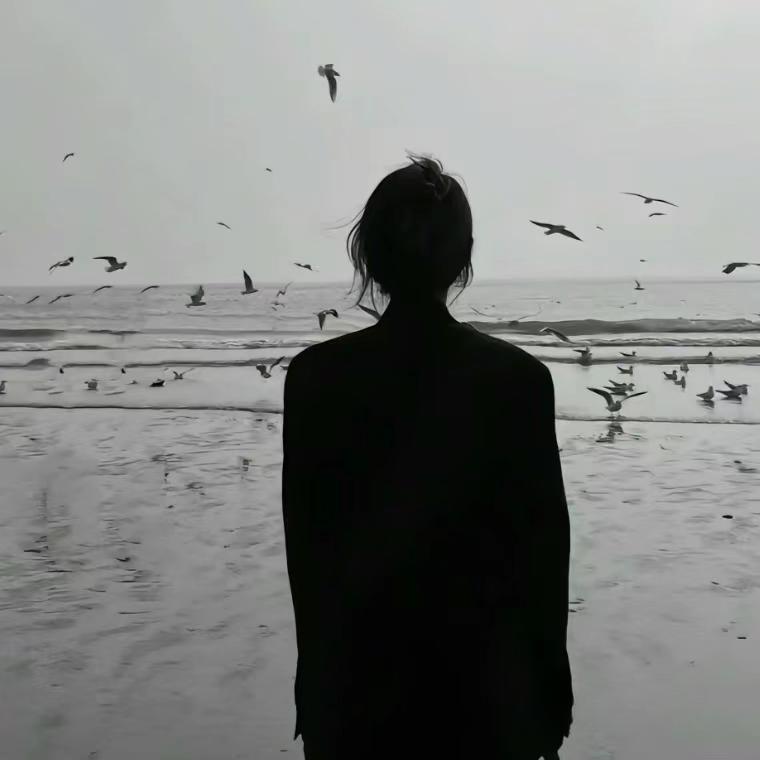 塇宝吖