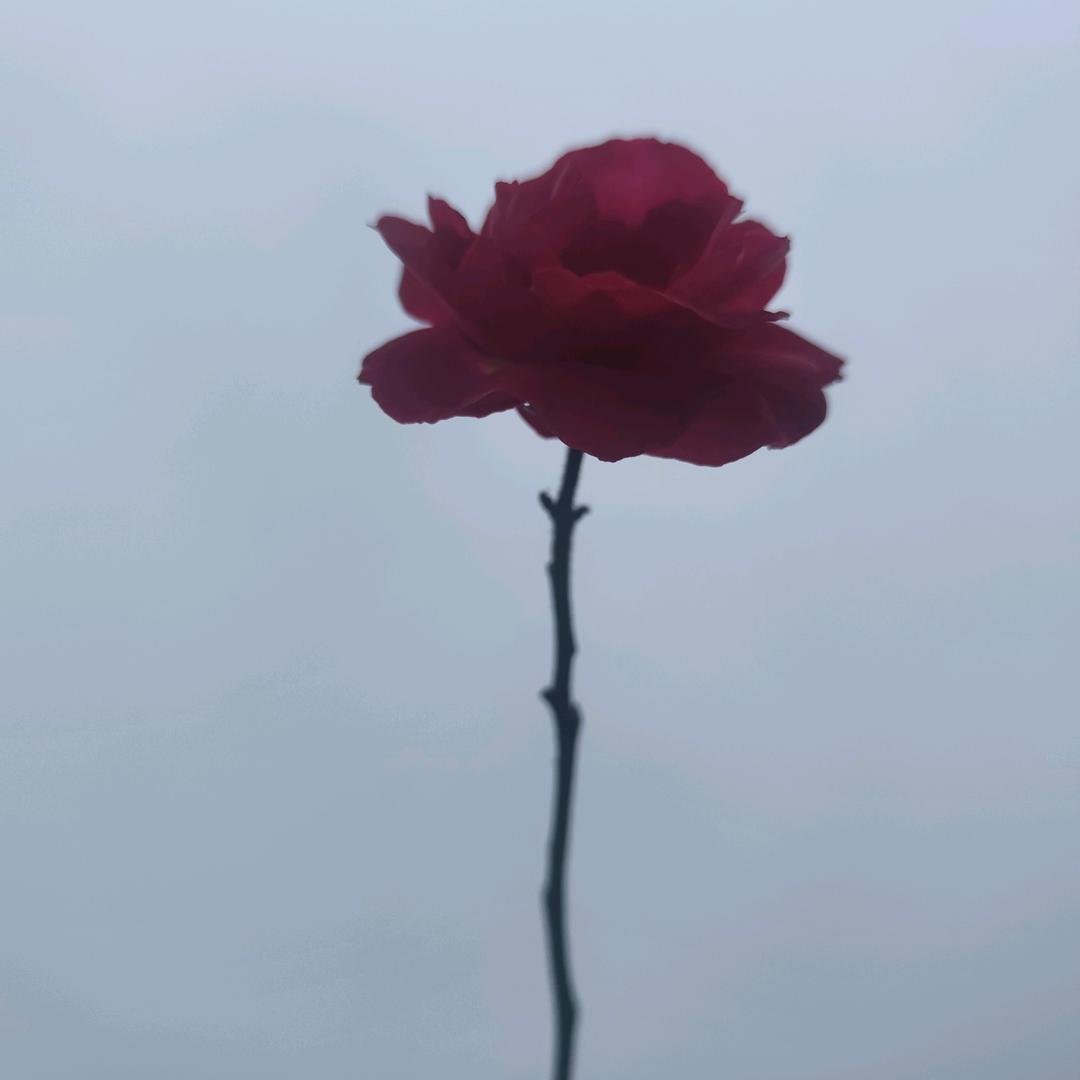 北漂的那些年