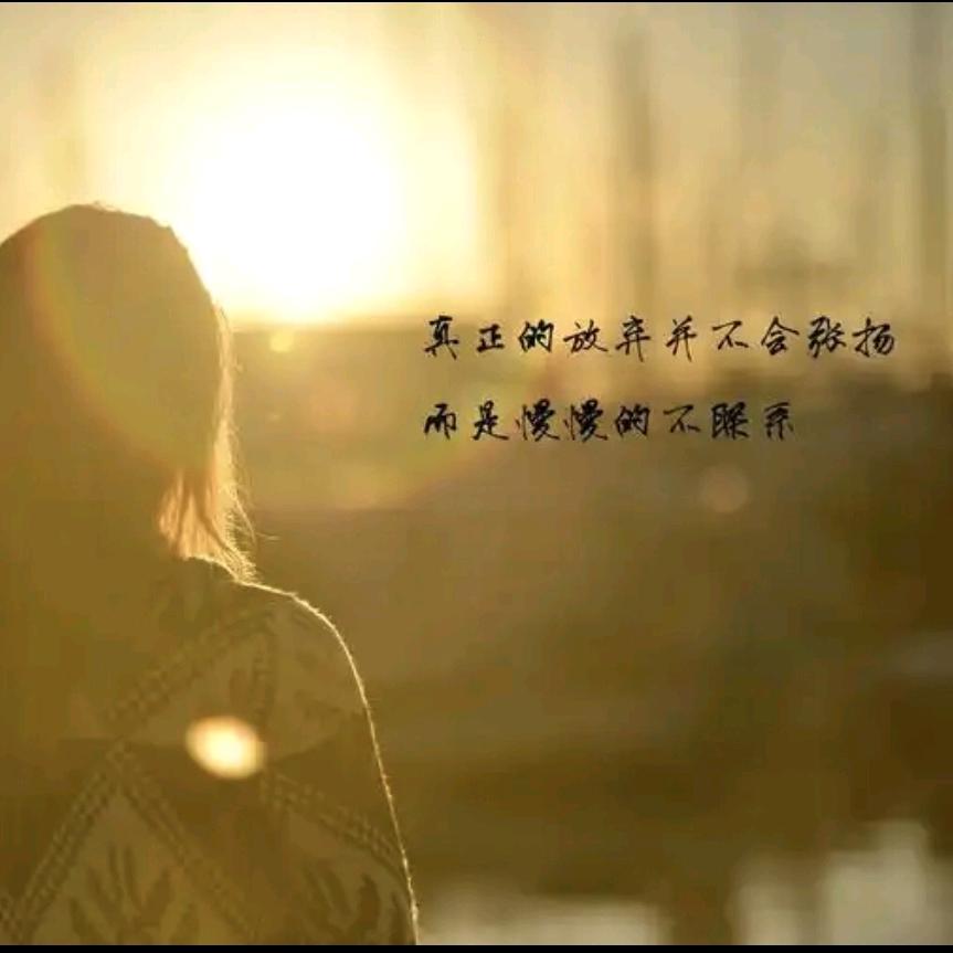 雪落温柔城