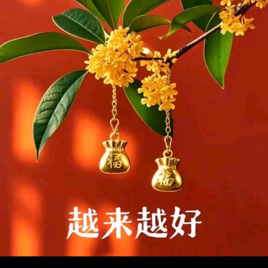 单身的小女人🌹