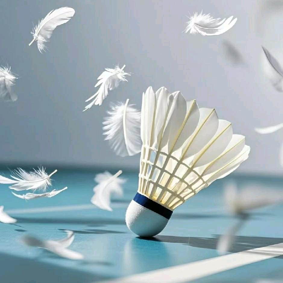 昱晟通羽毛球馆(羽毛球乒乓球台球)官方号