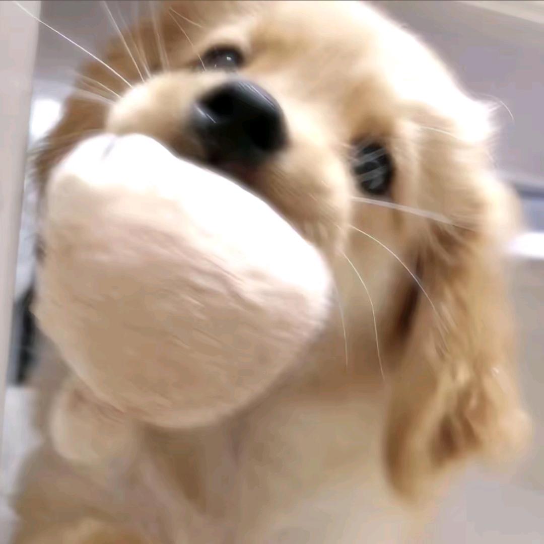 十壹
