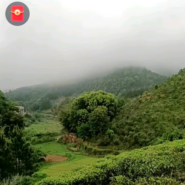 花好✪ω✪月圆🌸