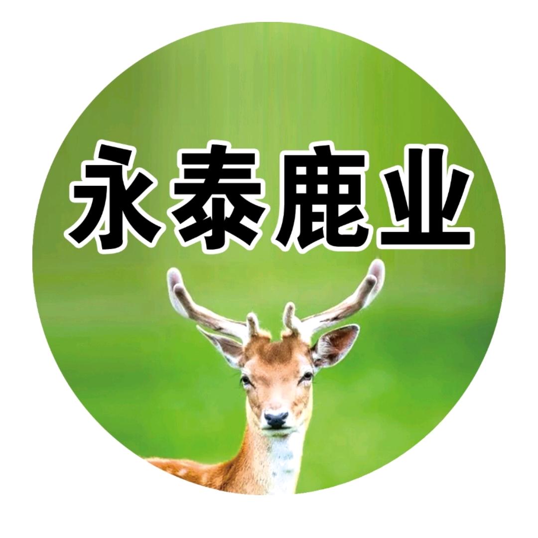 养鹿人光头哥