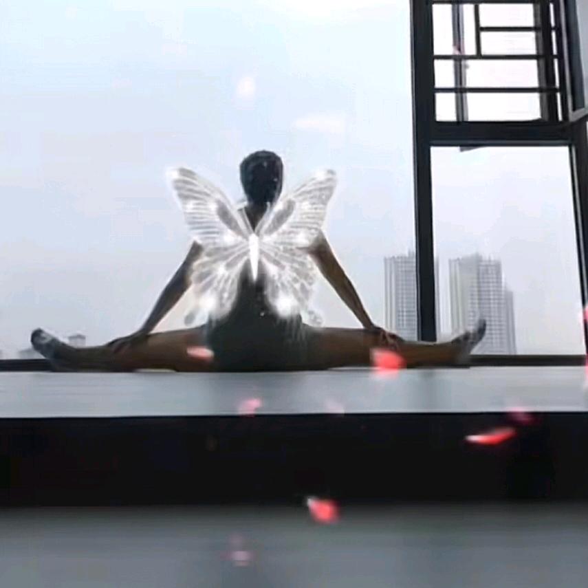 🧚‍♀️🦋落花一笑🦋🌜