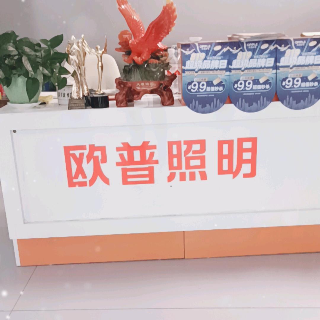 镇宁自治县吴超灯饰店