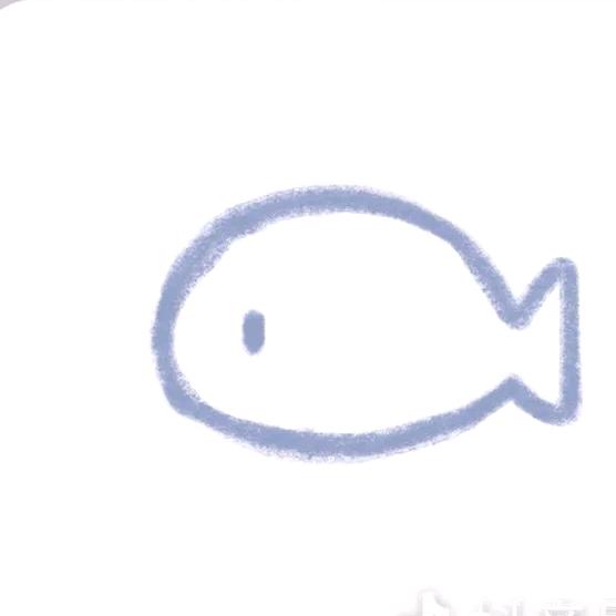 鱼头不吃鱼🐟