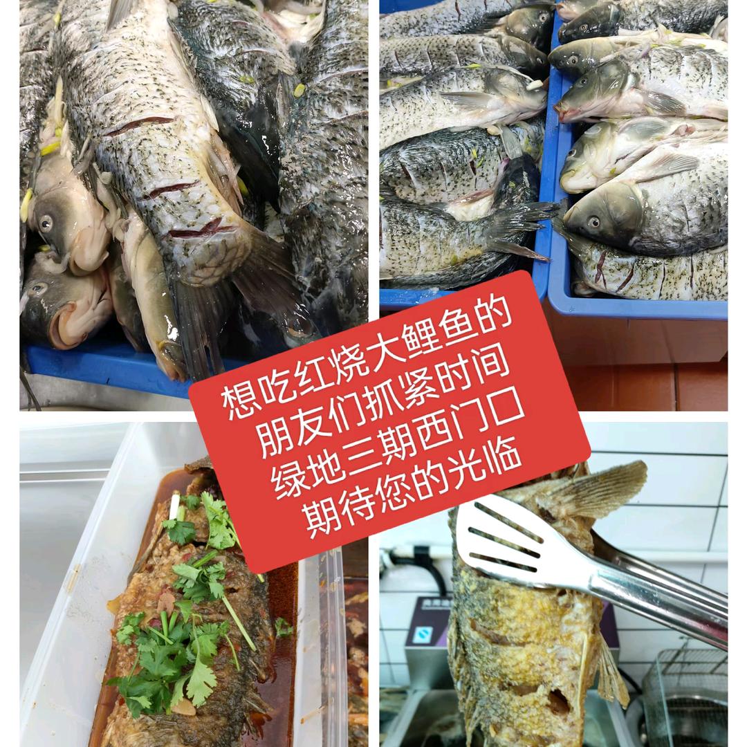 赵老大黄河大鲤鱼🐟