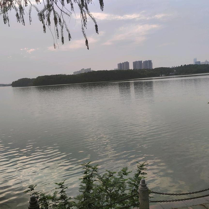 几个意思