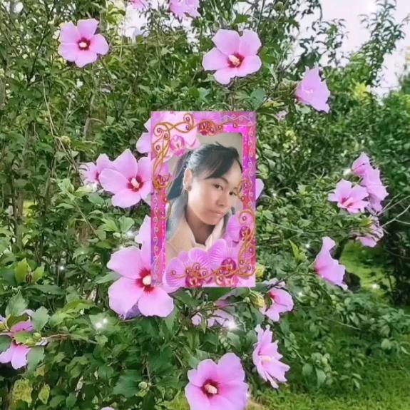 时光，静好