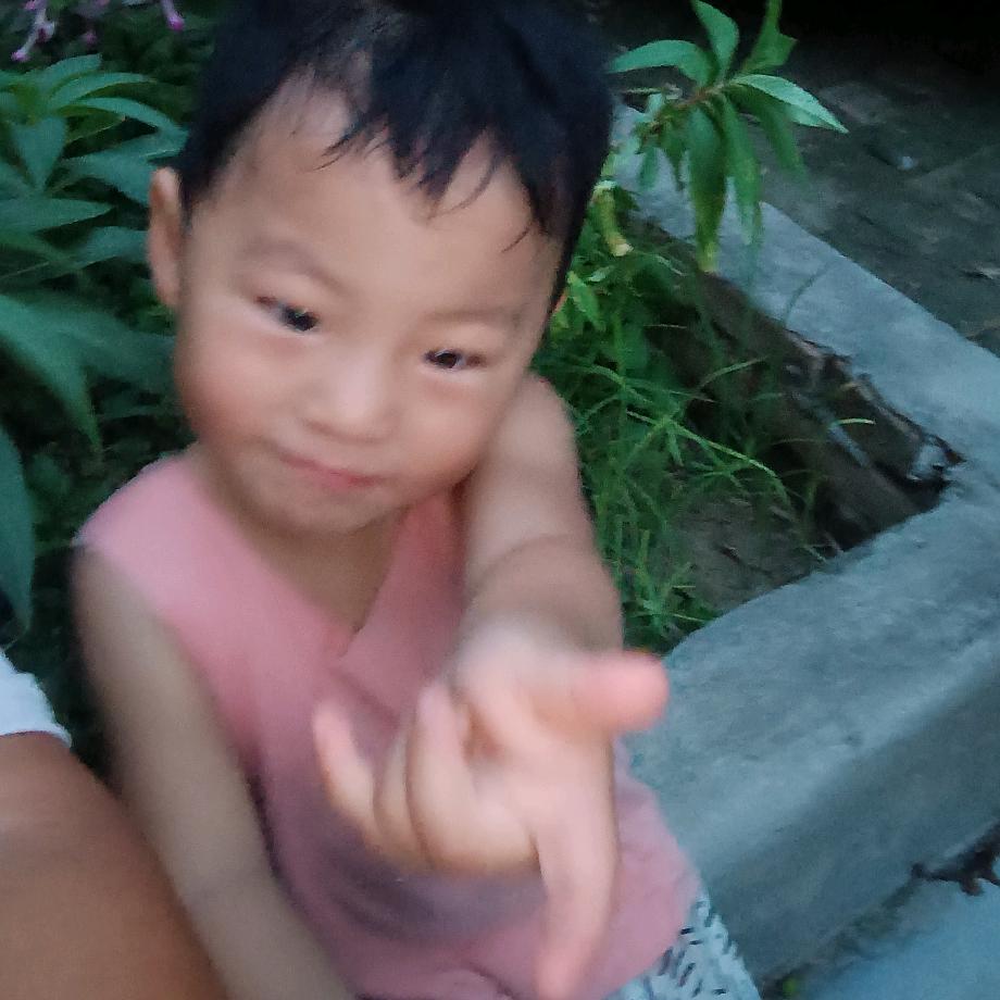 阳光明眉
