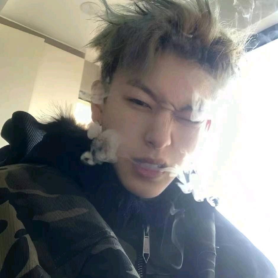 李导.