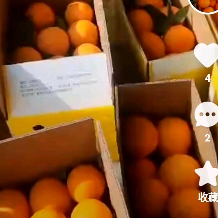 沉默默