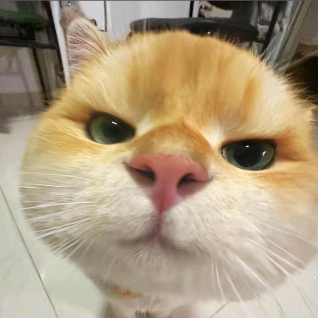 who.