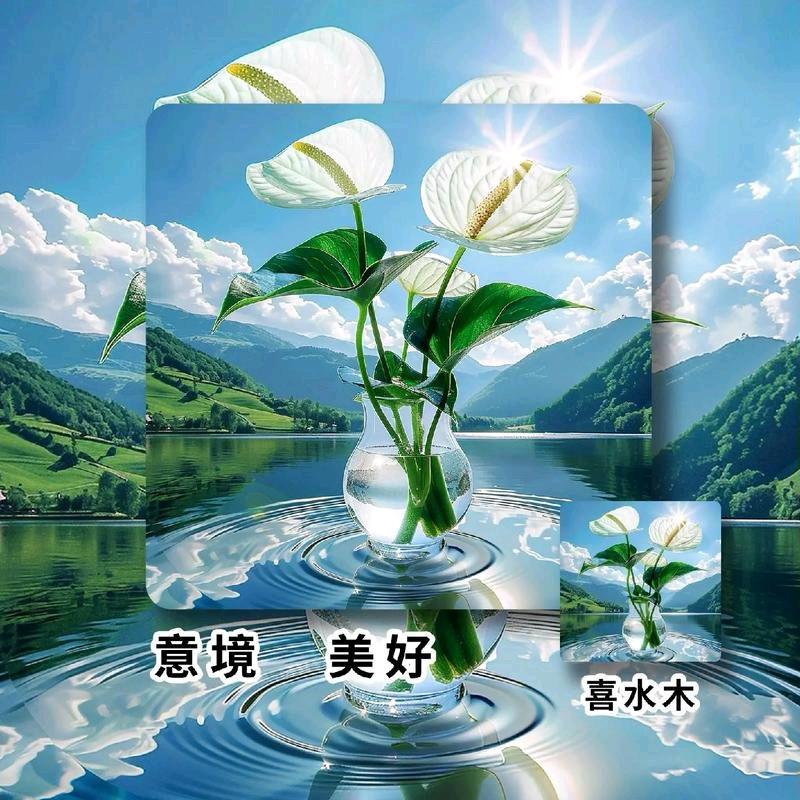 爱拼才会赢！！！