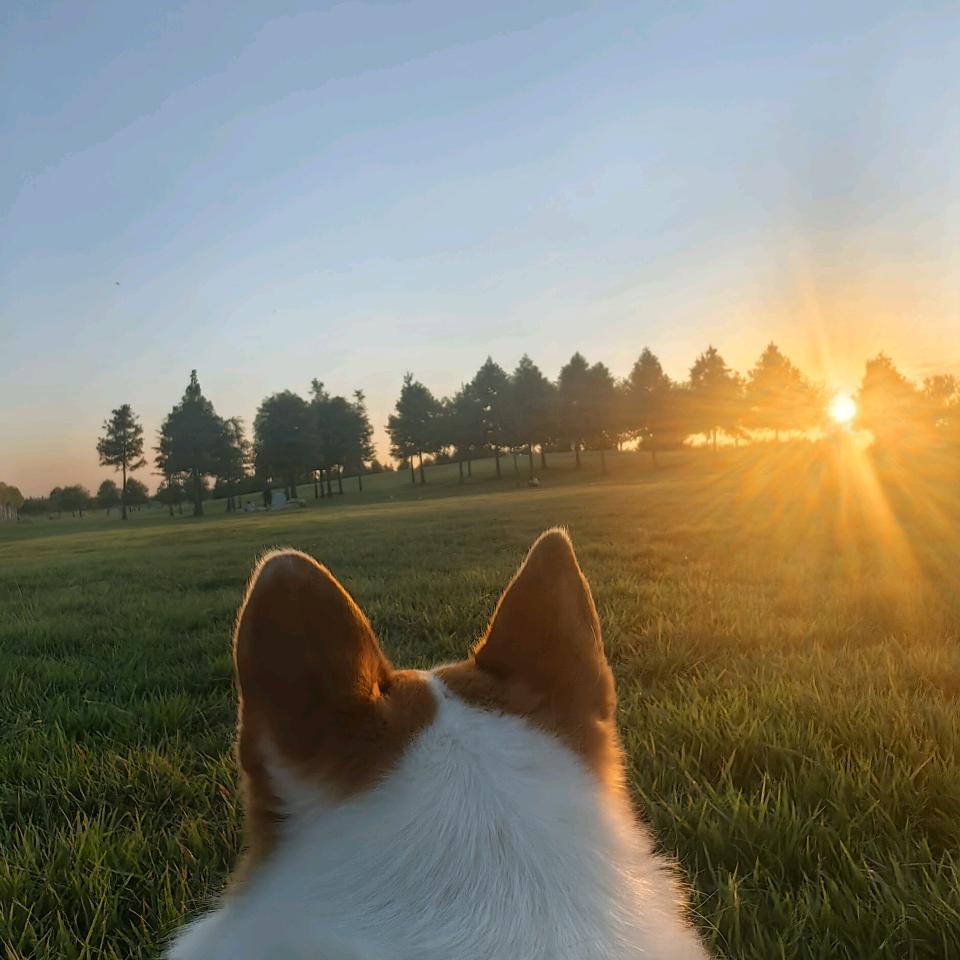 林深时见鹿☀️