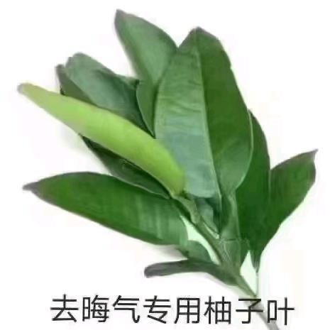 ❆꫁一路向前꧔ꦿ້໌ᮨ࿐💕