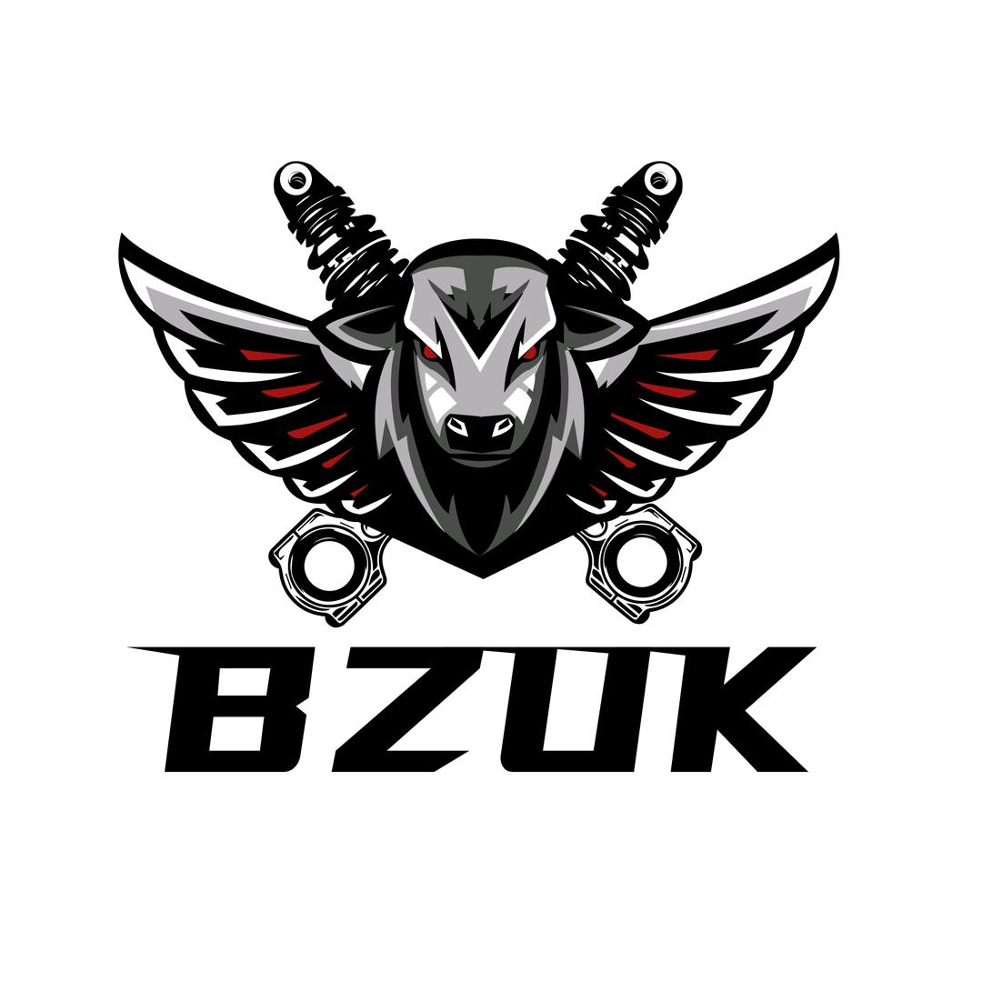 巴祖卡BZUK摩托车减震器