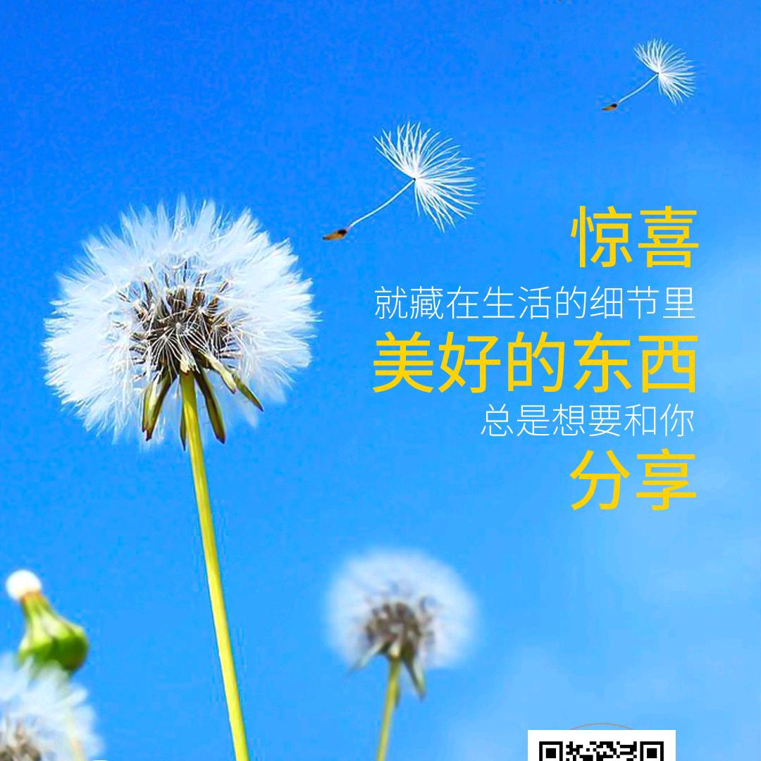 冰