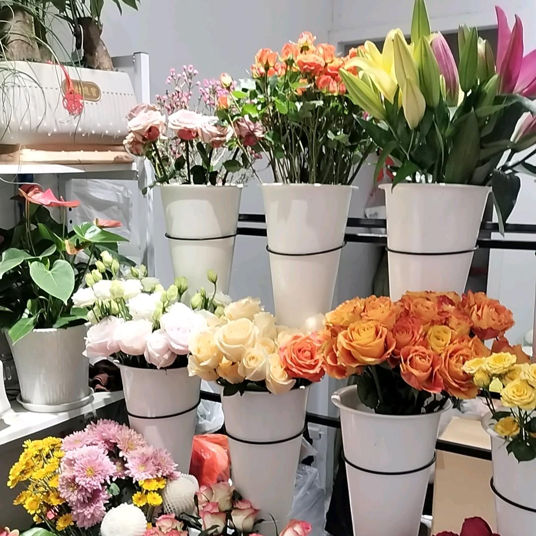 平凡的普通人，