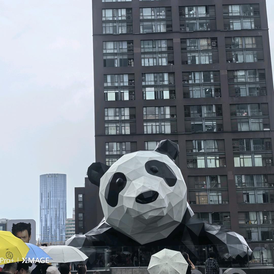 快消搬运工
