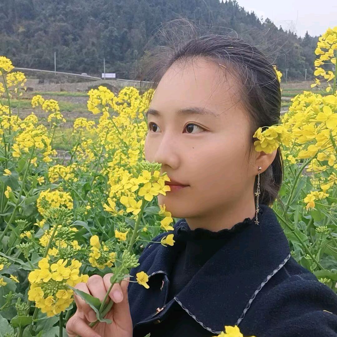 鑫鑫篮
