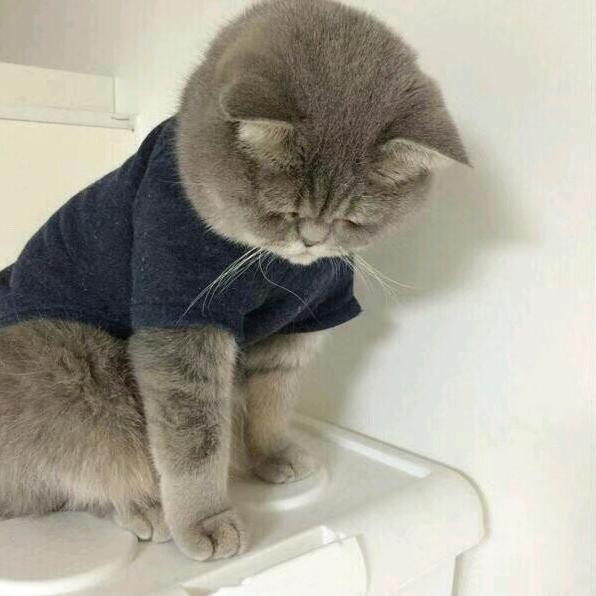 心安ᰔᩚ悦己ᨶ႒ᩚ