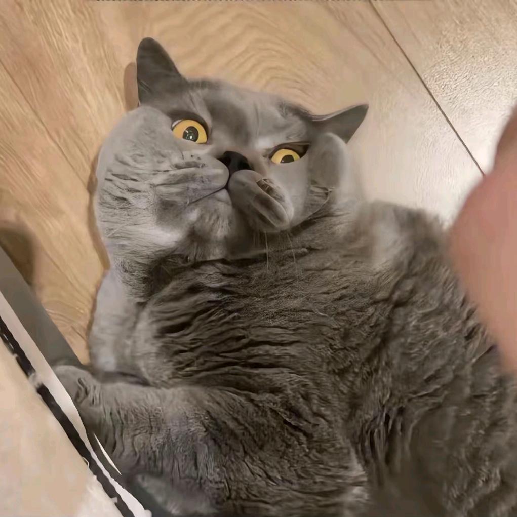 🙈🙊🙉
