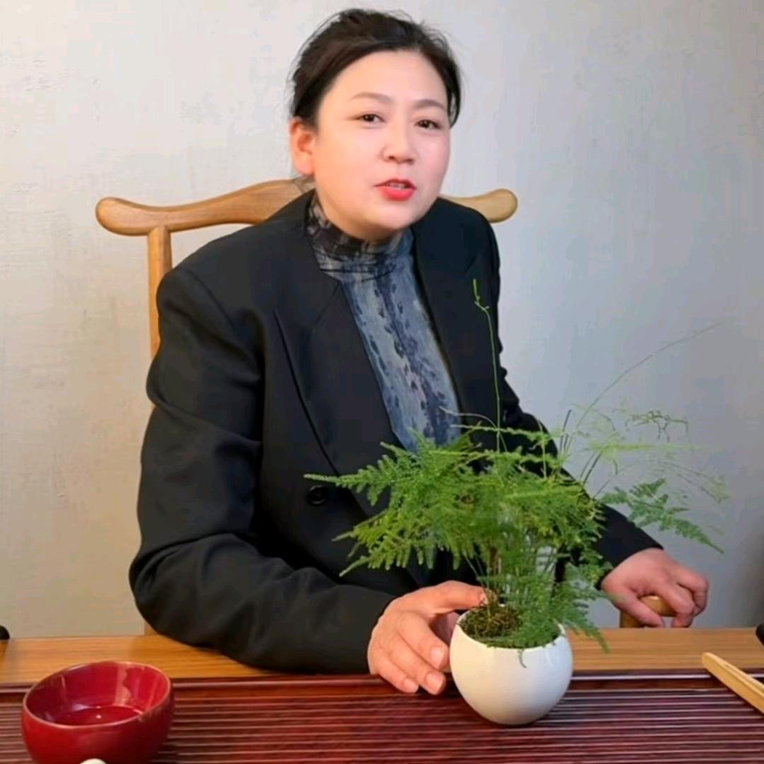 奢能-健康养生