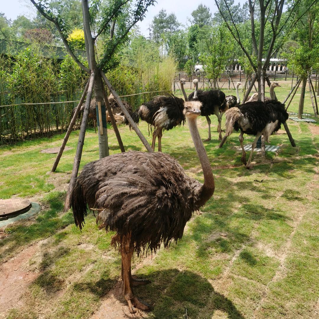 新化安信二手车行